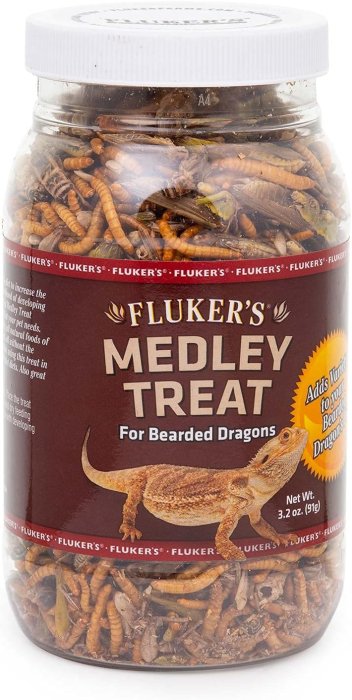 Fluker's Bearded Dragon