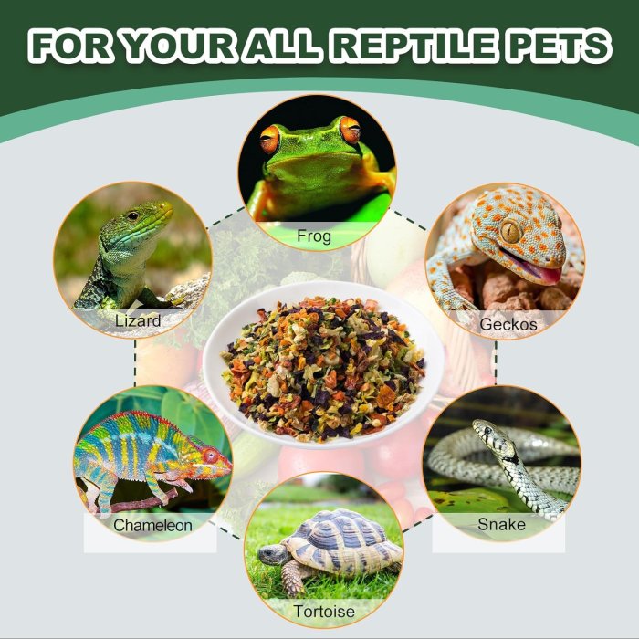 Reptile Food Vegetable Fruit Mix - High Protein Natural Pet Food