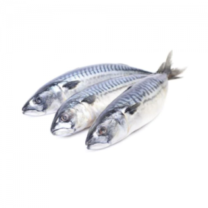 Whole Mackerel Whole